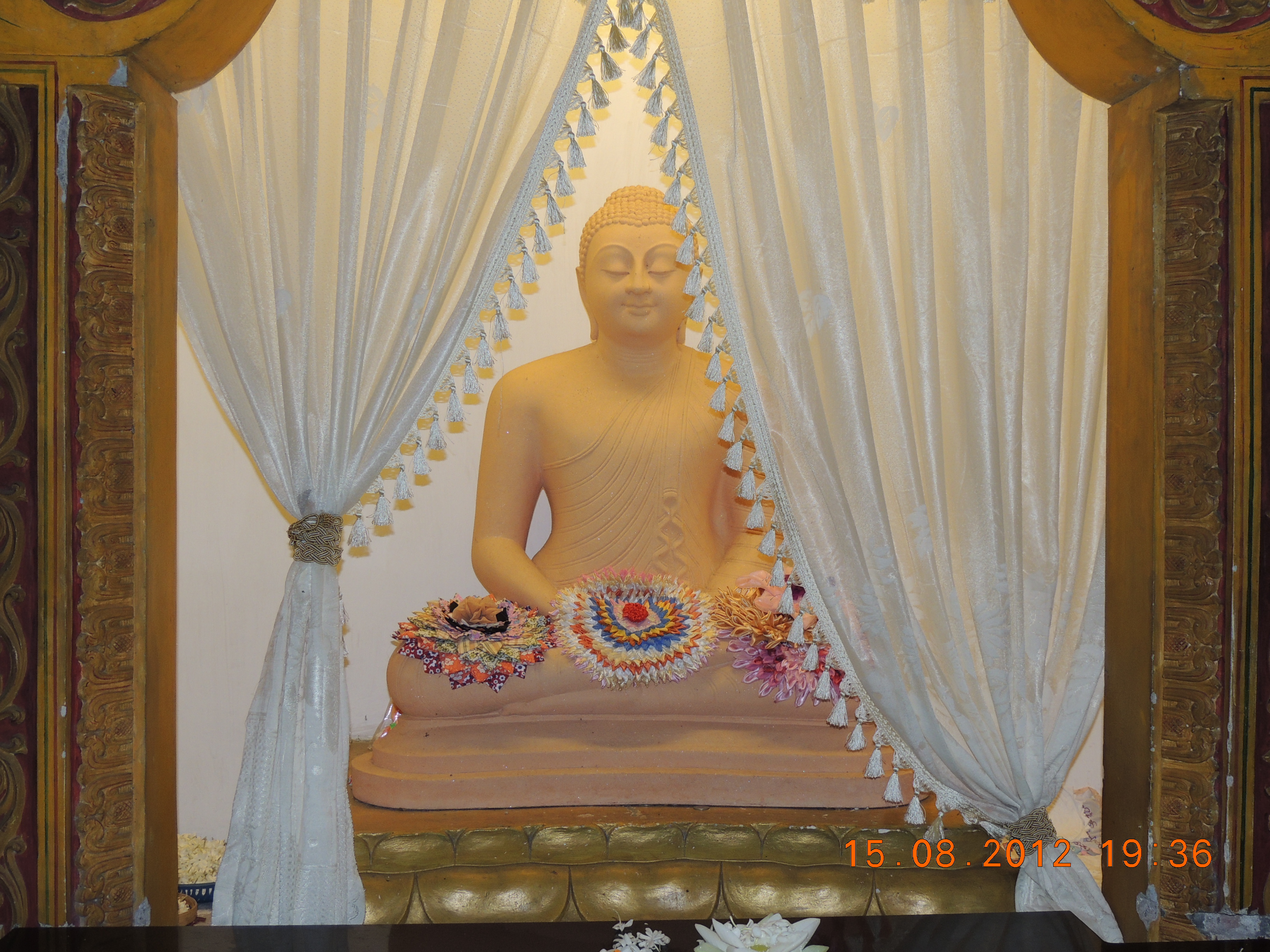 DSCN1393